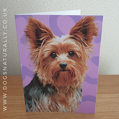 Yorkshire Terrier Jazzy Greetings Card